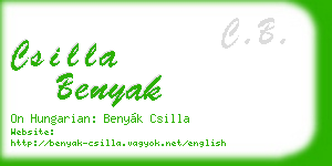 csilla benyak business card